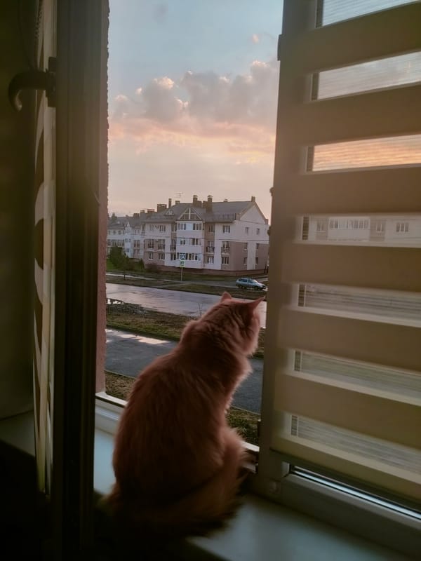 Quiet afternoon moments documented across Ufa apartments