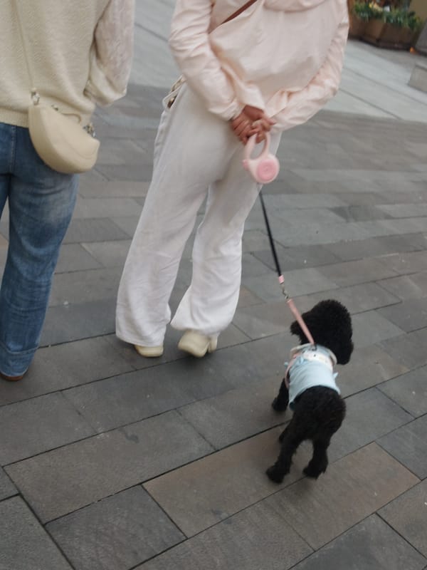 Casual urban street documentation in Chongqing High-tech Zone