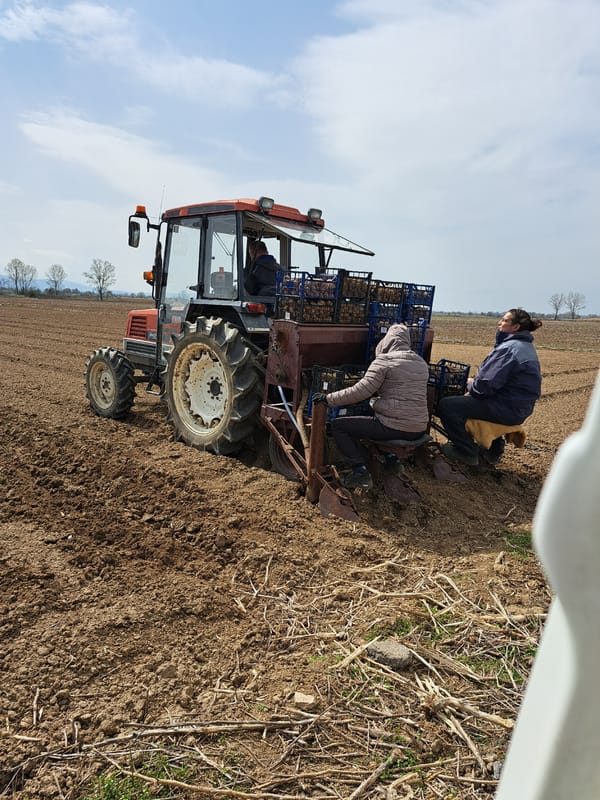 Farm workers operate equipment on red tractor in Bulgarian field