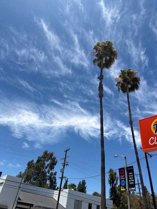 Palm trees and a billboard under a clear LA sky