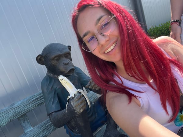 Tourists pose with whimsical monkey statues in Asenovgrad