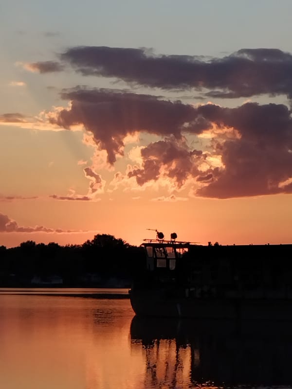 Sunset on the Dnipro: dog, petunias, and a crescent moon