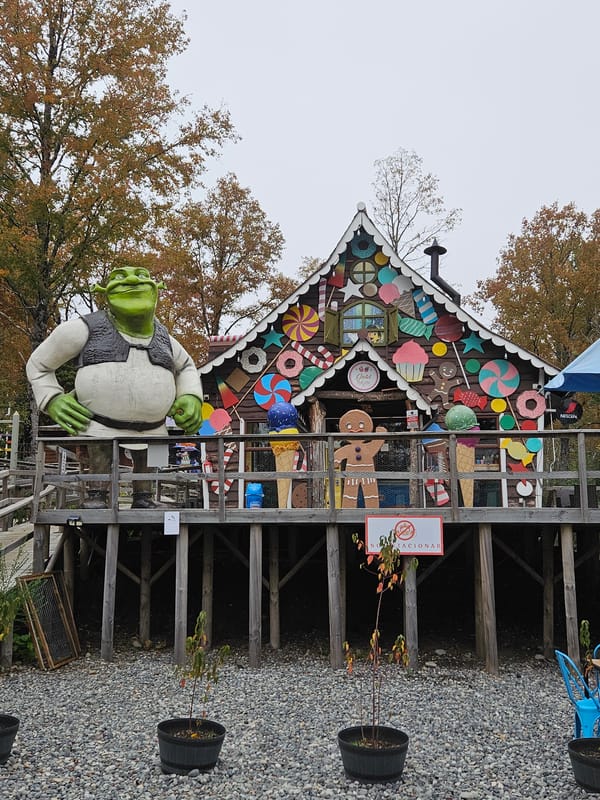 Fairy tale theme park attractions documented in Pucón, Chile