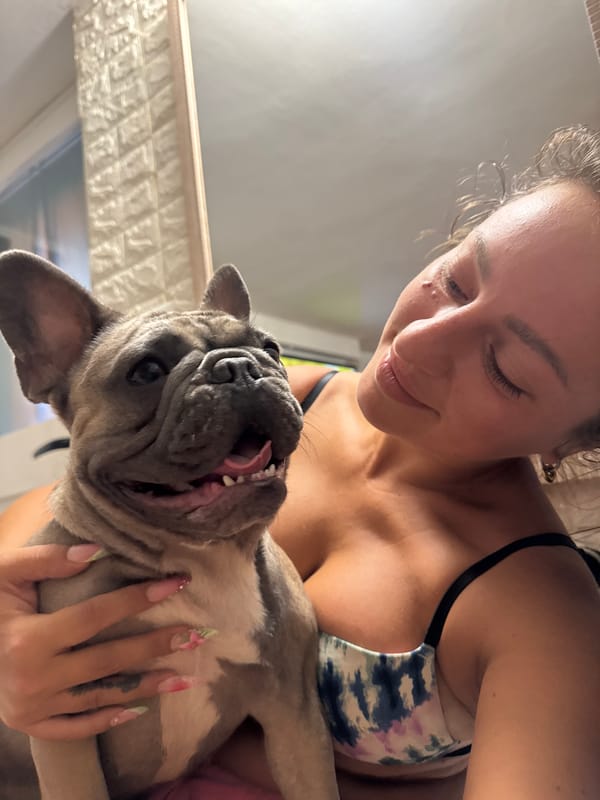 French Bulldogs living their best life in an Italian home