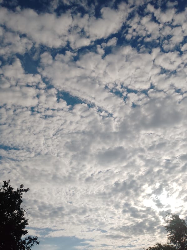 Afternoon sky watching and rural landscapes in Ustyvytsia, Ukraine