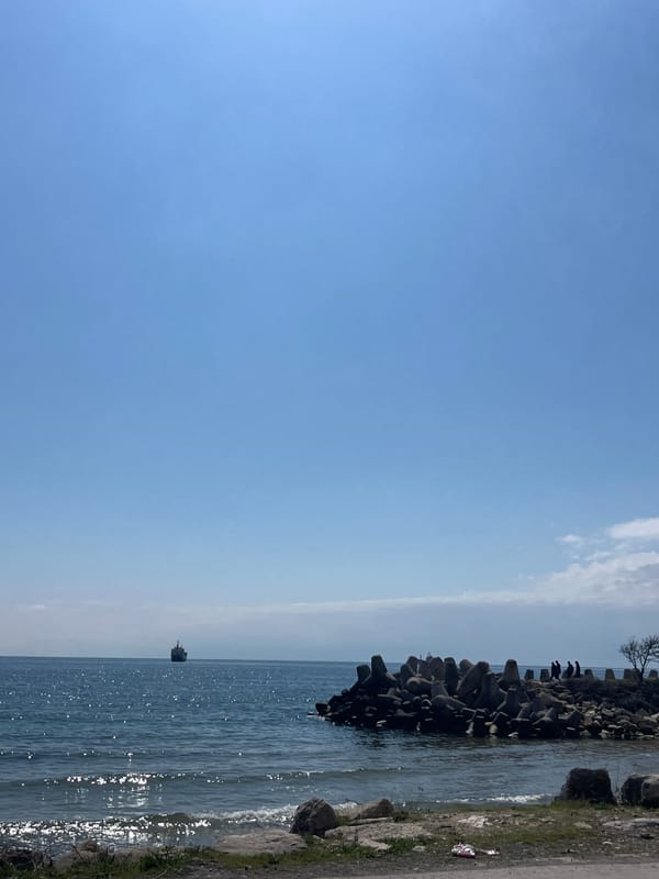Calm morning scenes captured along Varna's Black Sea coast