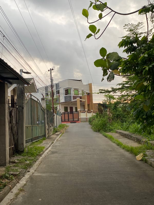 Residential neighborhood documented in Davao City under overcast skies