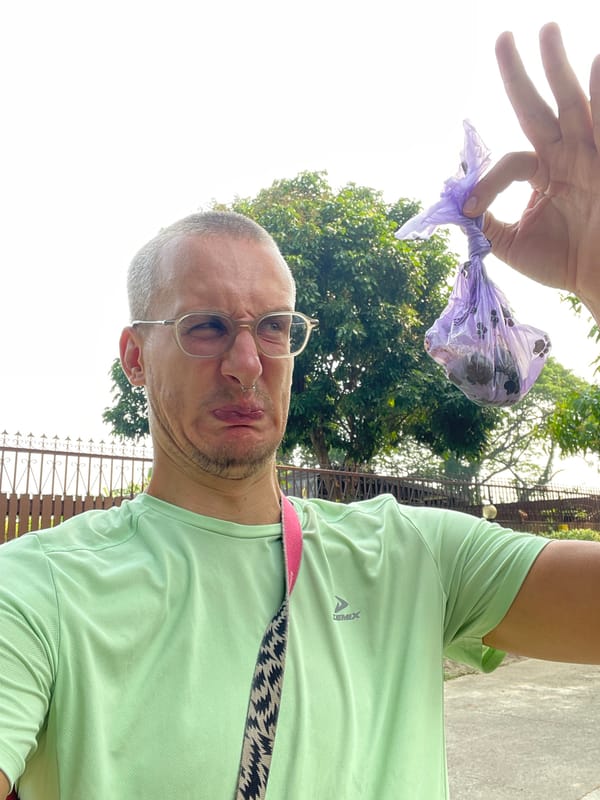 Dog walker cleans up after pet in rural Thailand