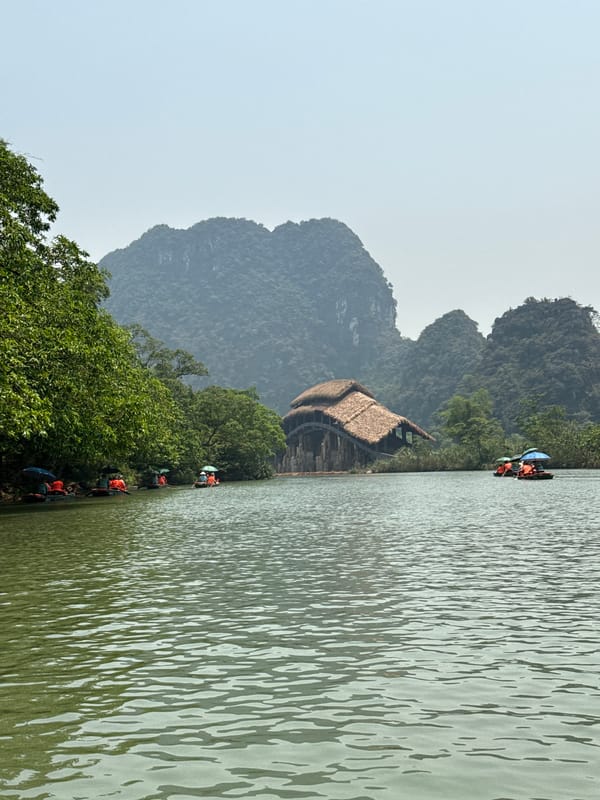 Morning water scene captured in Vietnam's Hoa Lư Ward