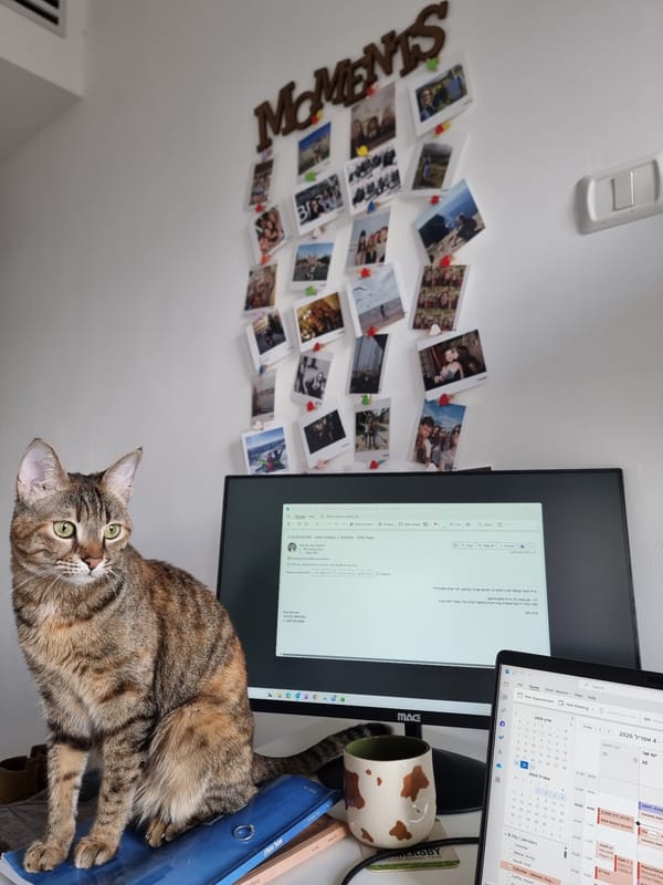 Cat rests by computer in home office workspace