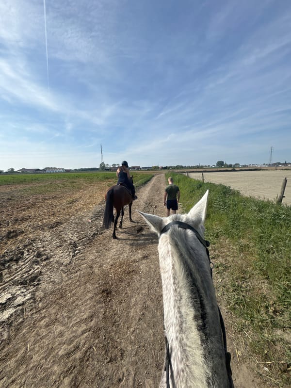 Horseback riders traverse dirt trail in Belgian countryside