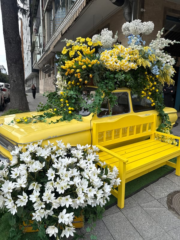 Flower-decorated vintage truck spotted on Batumi sidewalk