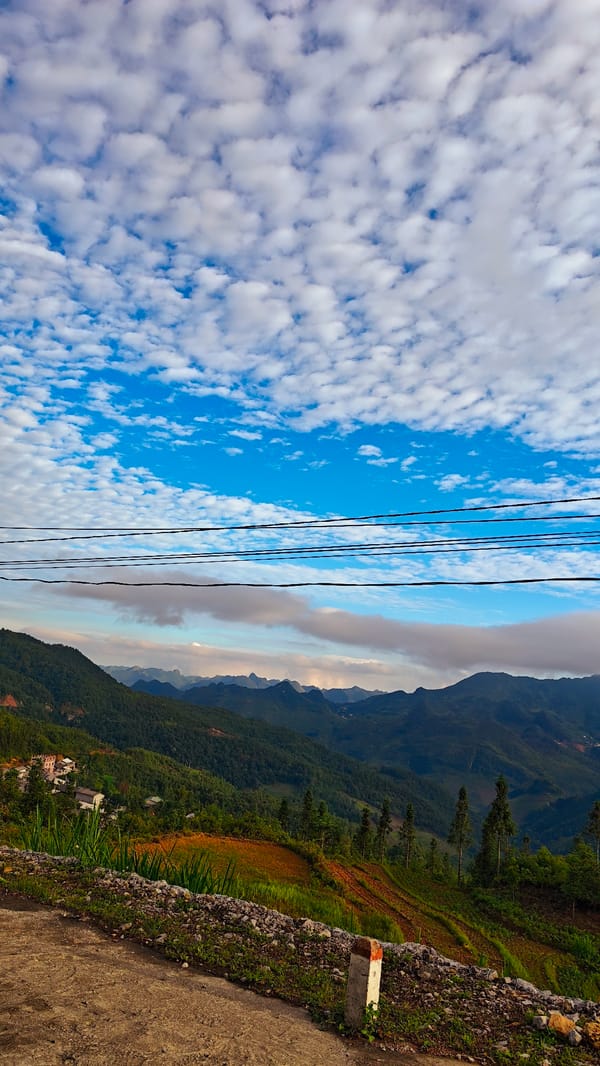 Woman drives singing through Vietnam's terraced flower fields
