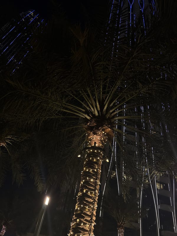 Woman records video message among lit palm trees in Dubai
