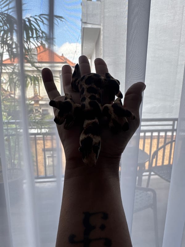 Tourist documents morning routine in Kuta hotel room