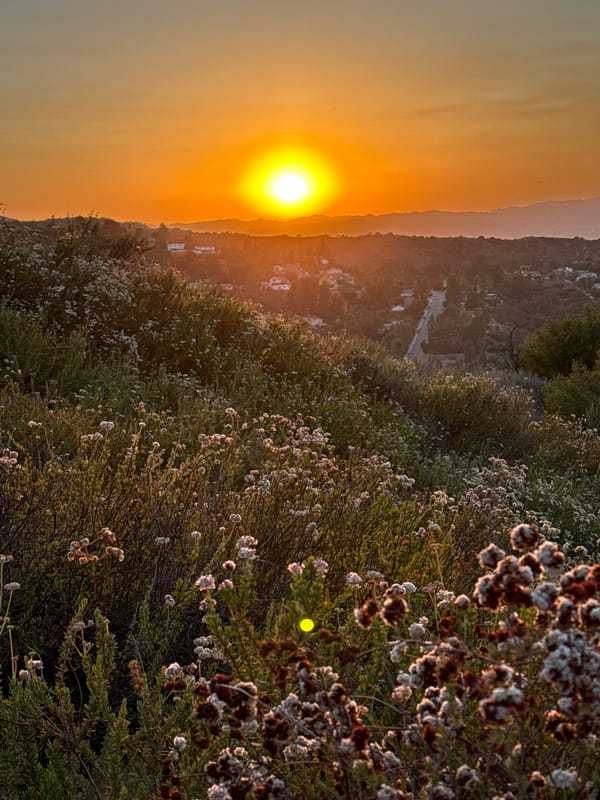 LA hillside sunset, multiple angles, golden hour