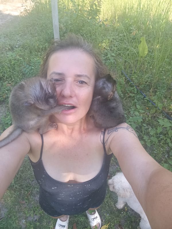 Tourist encounters monkeys, dogs and cats in Thai village