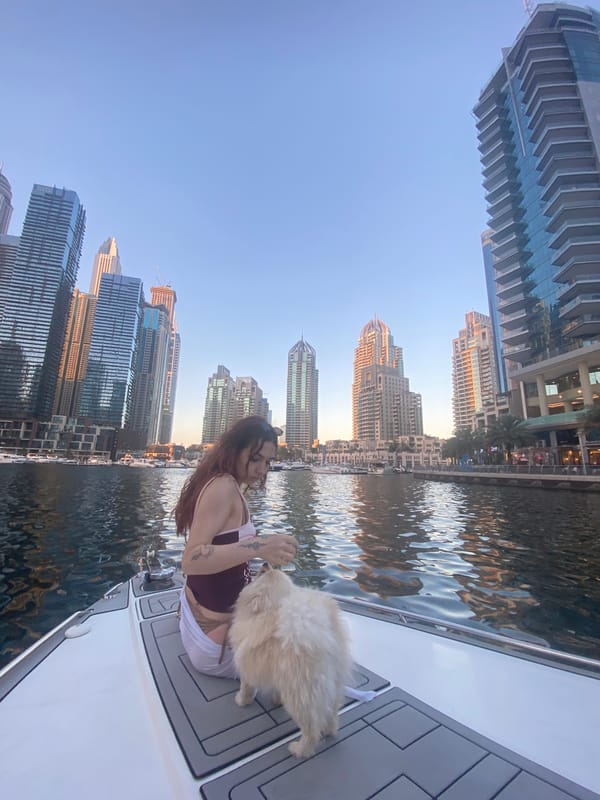 Boat ride through Dubai Marina with passenger and dog