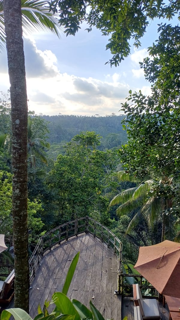 Elevated view captured of clouds through trees in Tegallalang