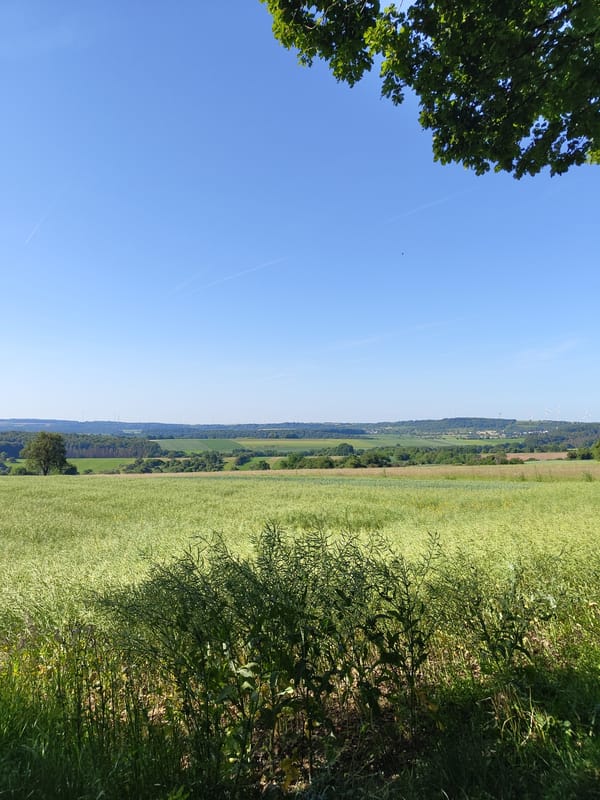 Morning countryside walk documented in rural Mettlach, Germany