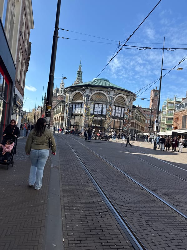 Woman walks along tram-lined street in The Hague