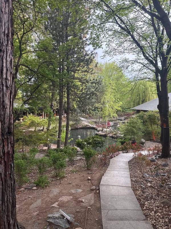 Peaceful garden scene with water feature captured in Sofia