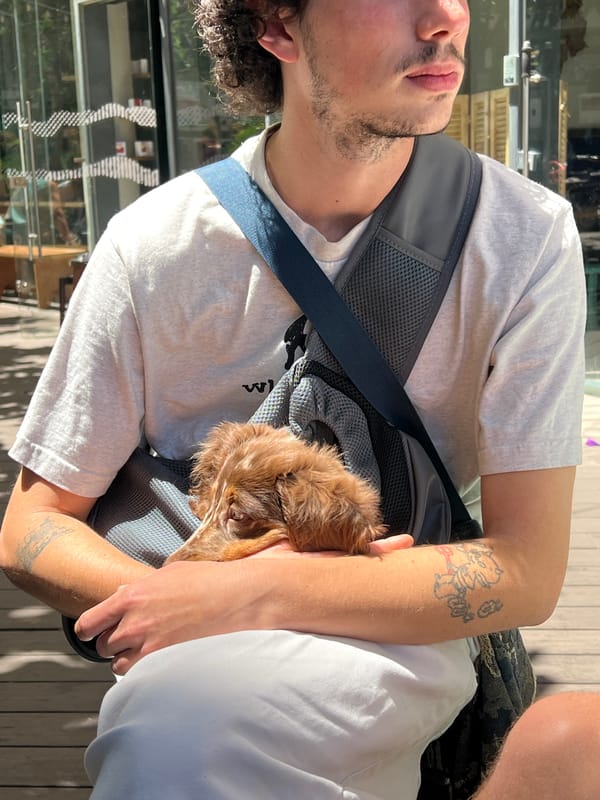 Man carries Dachshund puppy during sunny Tel-Aviv outing