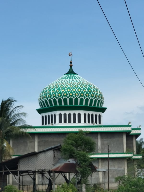 Mosque with decorated dome observed in Teupinpukat, Indonesia