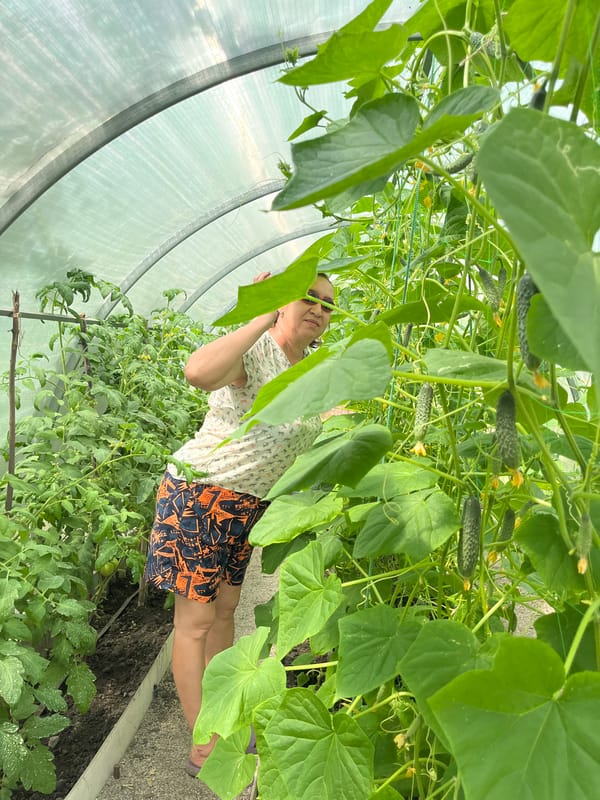 Greenhouse visits, insects, and backyard exploration on a summer morning
