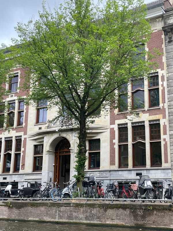 Morning canal scenes documented across Amsterdam's historic districts