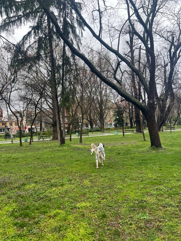 Park scenes documented in central Plovdiv during overcast afternoon