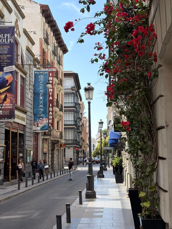 Flowering vines frame Madrid street scene