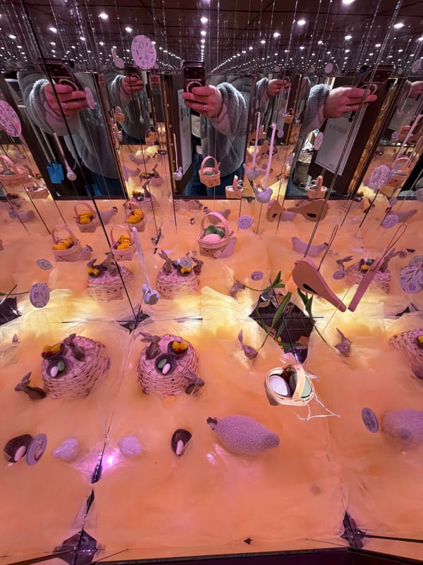 Art installation with suspended bird baskets spotted in Levallois-Perret