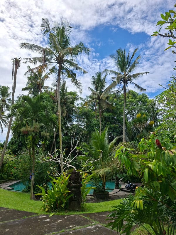 Tropical garden moments captured in Ubud, Indonesia
