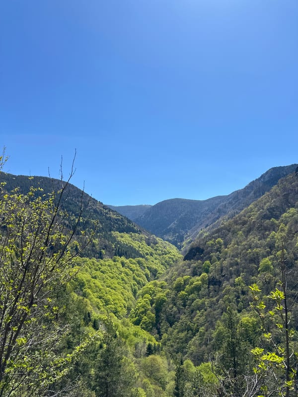 Clear skies over forested mountains near Bistritsa, Bulgaria