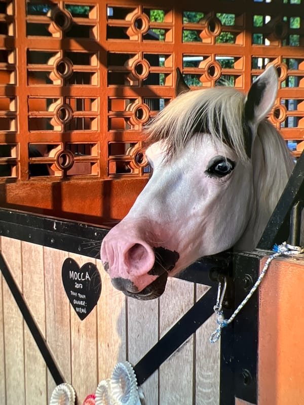 Horse stable visit and family smartphone moment captured simultaneously