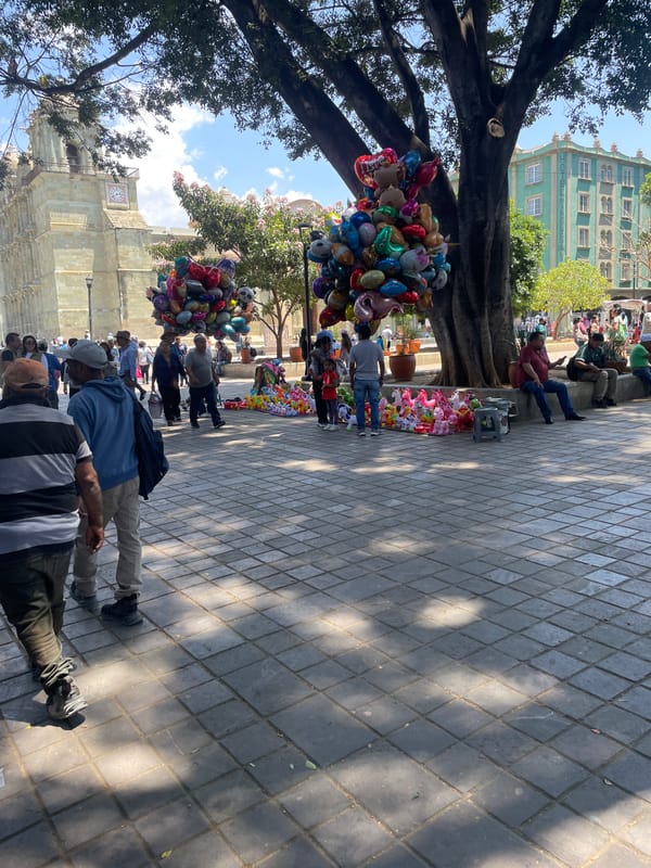 Street musicians perform outdoor concert in Oaxaca City