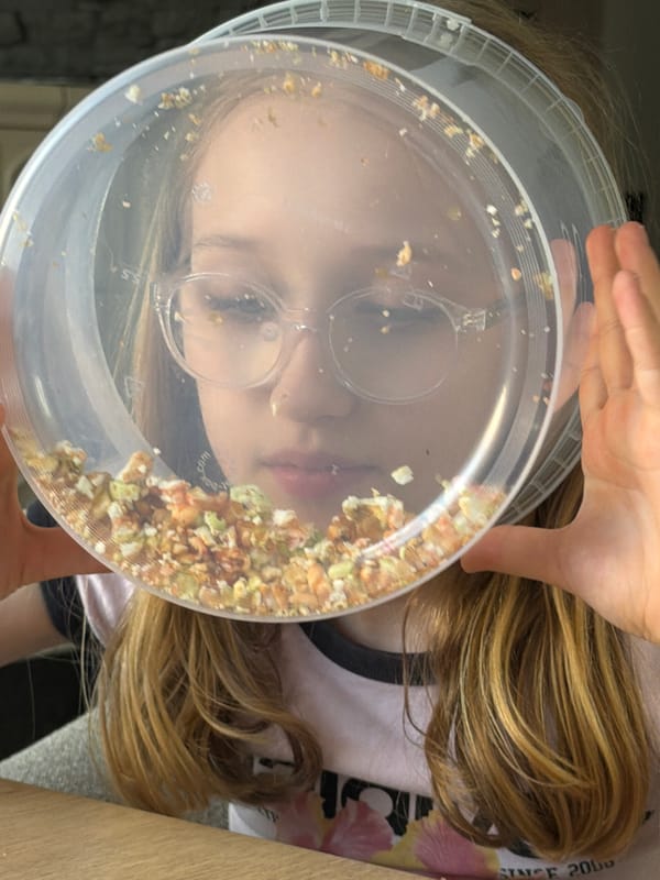Young person peers through plastic container in Dreiliņi