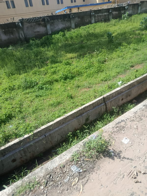 Daily life documented across Jalingo, Nigeria in morning hours