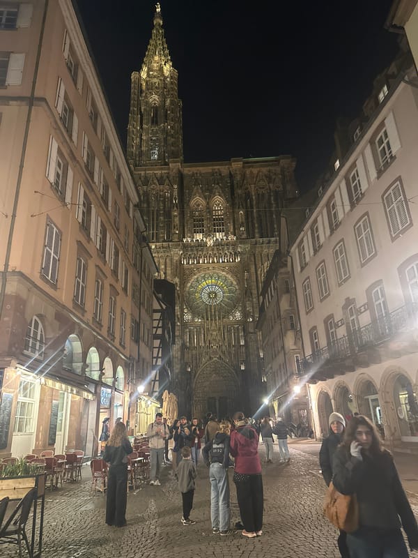 Strasbourg Cathedral illuminated at night draws multiple witnesses