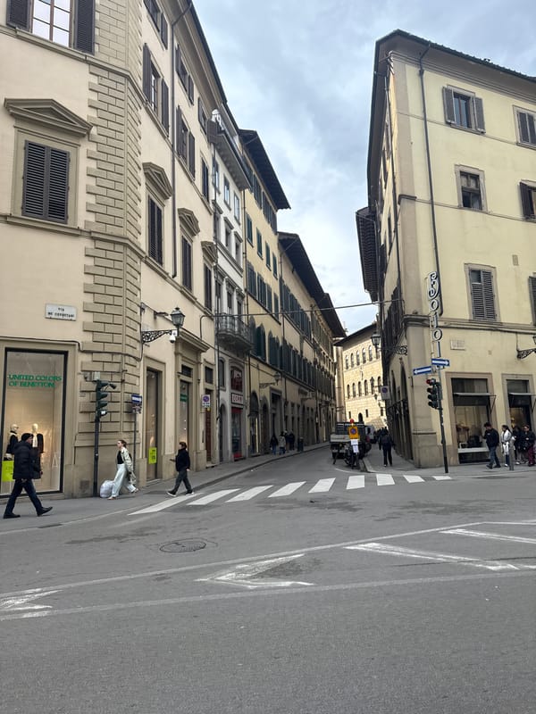 Renaissance art and architecture documented across Florence's historic center