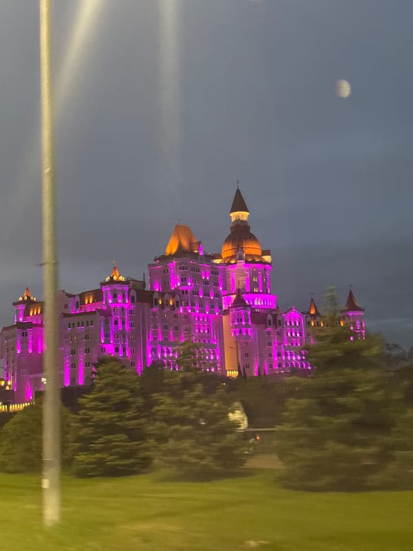 Bogatyr Castle Hotel illuminated in purple lights, Sirius Russia
