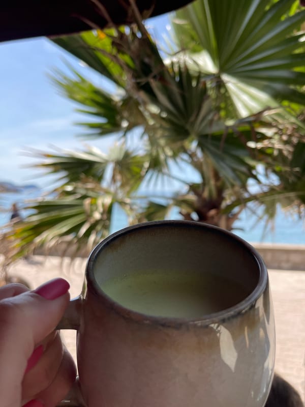 Morning dining scene at Montenegro coastal restaurant patio