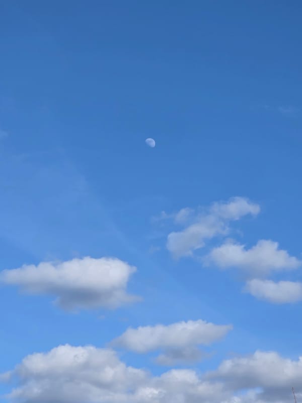 Daylight crescent moon visible over Chaikovsky, Russia