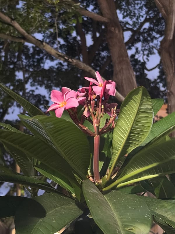 Evening documentation of daily life in Ciudad Guayana