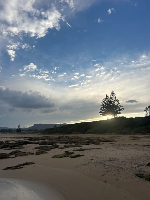 Morning beach outing documented at Bulli, Australia with dog
