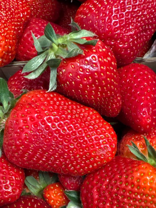 Ripe strawberries photographed in Boreti, Montenegro
