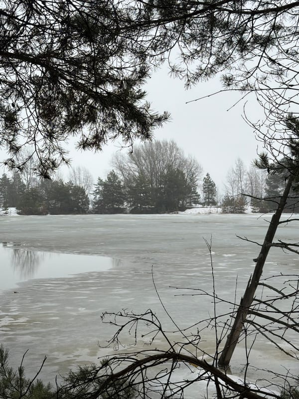 Spring thaw documented in Noviy, Russia through nature observations
