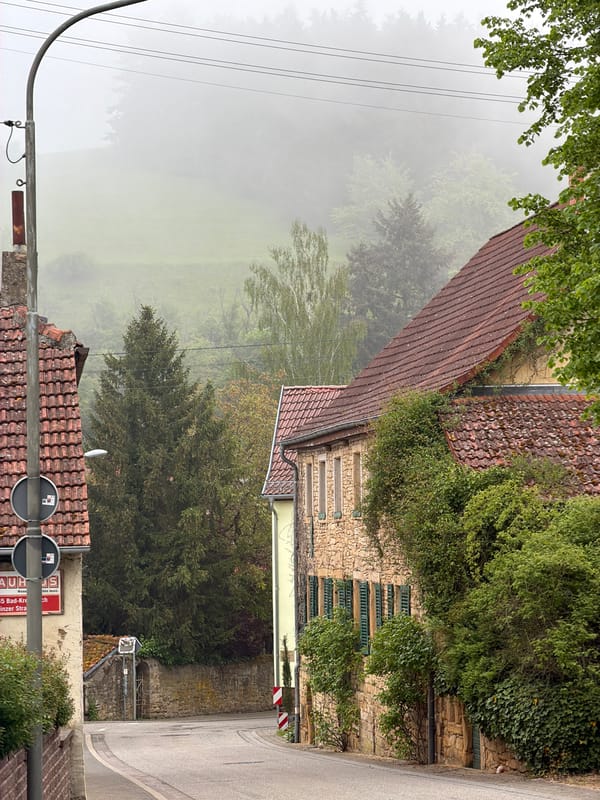 Corgi walked through foggy German village streets Friday morning