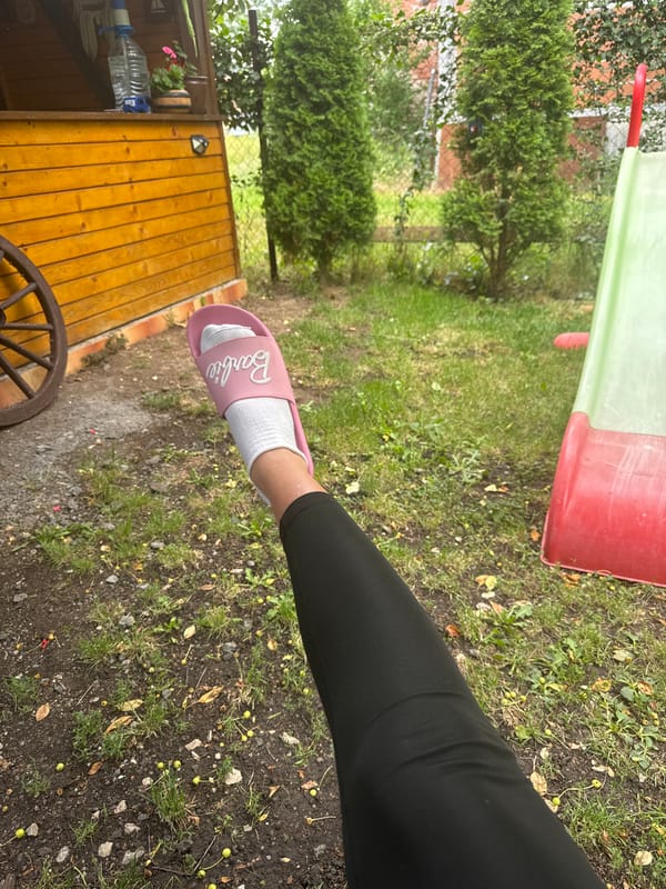 Domestic life captured in Bulgarian backyard over morning hours